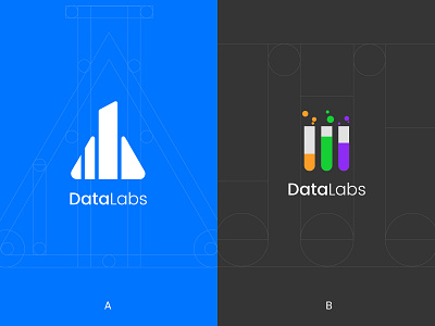 DataLabs Logo branding golden ratio identity design logo logo design logo mark symbol wordmark