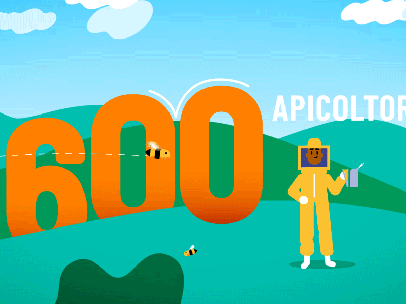 Bees fly after effects animation art direction bee characters gif honey motion design