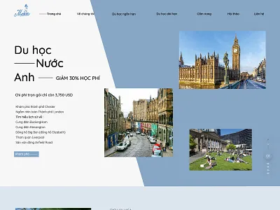 Education Agency web design- Malblue i agency website design ui ux web web design web design inspiration