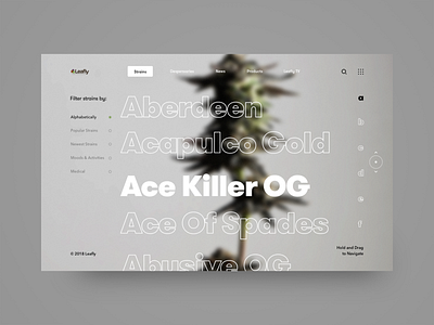 Leafly Strain Exploration brand layout makereign minimal sketch typography ui web weed