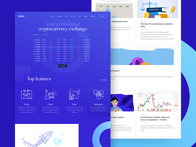 DSX Corporate Site corporate crypto css cuberto development exchange graphics illustration landing re brand re design refresh ui ux website