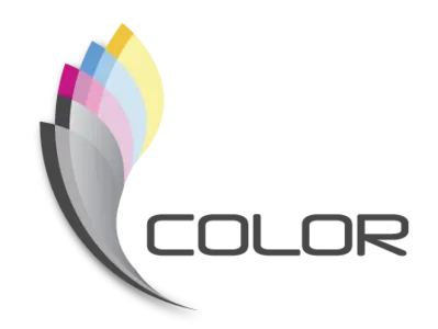 Color branding design icon illustration marketing packaging presentation