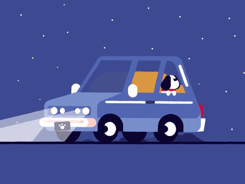 Stary Stary Night animation car character characters dog gif illustration night