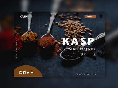 Spice Company home Page design illustration ui uidesign webdesign website