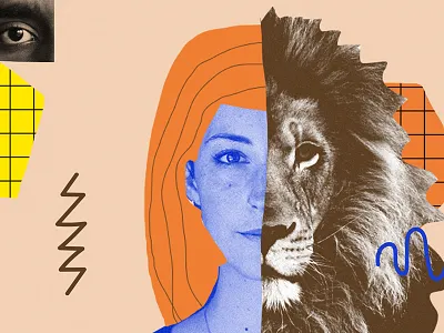 collage collage illustration