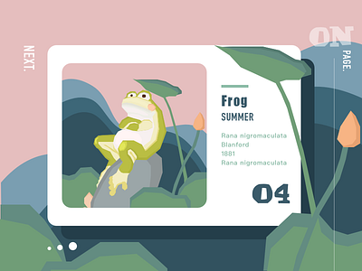 Frog illistration