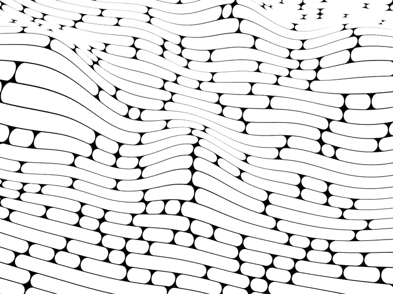 Line Distortion Pattern Gif Lines Experiment by Martin Søgård Hansen on Dribbble