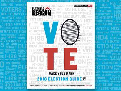 VOTE - Make Your Mark cover design editorial design graphic design layout design typography vote