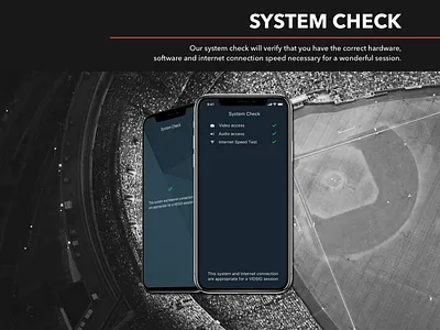 Vidsig: system check branding design interface logo system check typography ui ux web design