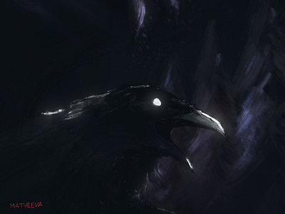 Raven in darkness | Concept Art atmosphere atmosphere illustration bird black botanical illustration comics concept dark darkness design drawing forest illustration light magic raven