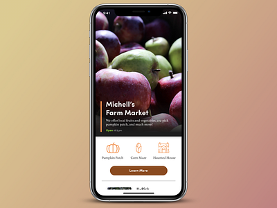 Michell's Farm apples design details fall farm image iphonexs photography ui ux design uidesign ux design