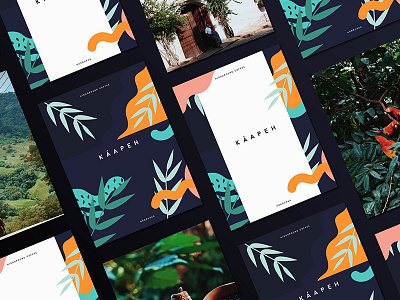 Kaapeh High Ground Coffee from Honduras blue branding coffee copán design flatlay honduras logo nature orange visual identity