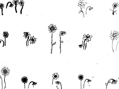 Flower Test black and white flower sketch sunflowers