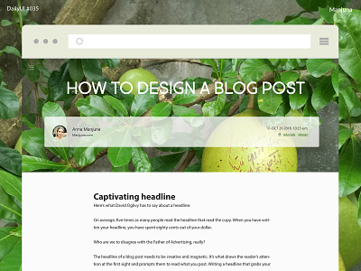 Daily UI #035 - Blog Post article article page author blog blog design blog header blog post categories daily ui daily ui daily ui 035 flat green interface post tropic ui ux webdeisgn webdesigner