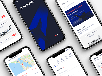 Blackbird bold booking colorful flight interface ios iphone mobile plane product design ui ui ux design user experience user interface ux ux ui