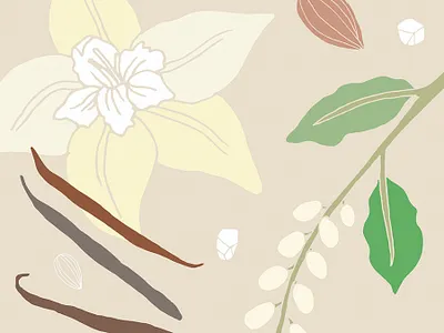 Vanilla Almond drawings food fruits illustration