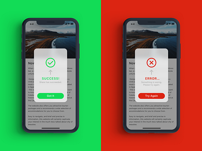 Daily UI #011 - Flash Message daily ui 011 dailyui design error flash message success ui