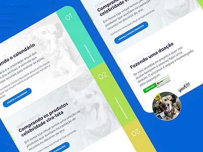 How to help us animals design interface ong uiux webdesign