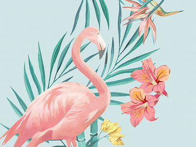 Flamingo apparel design flamingo illustration illustration art ilustrator pullbear swimmwear collection textile design vector art