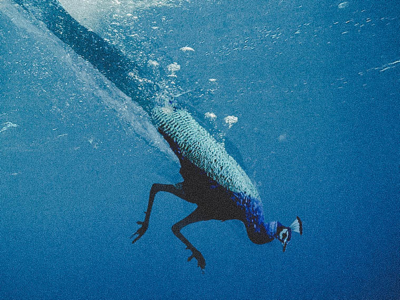 F*ck this, I’m out. composites digital digital artwork photoshop