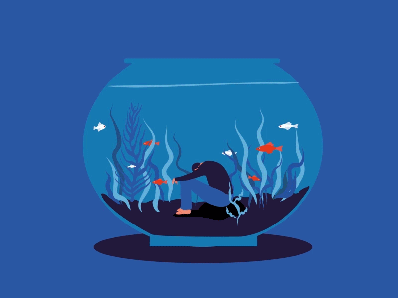 Fish fish fishbowl pool sea sink swiming water