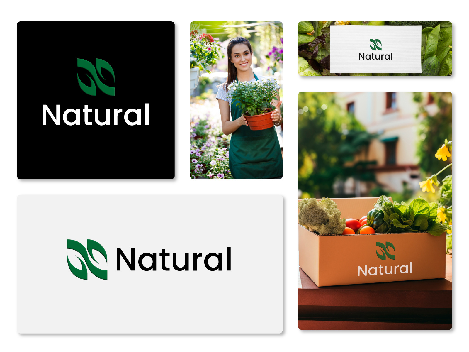 Example of Logo Design