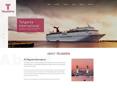 Teligenta Travel Agency Template teligenta template travel agency