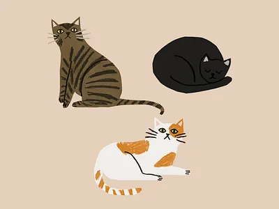 Neighbourhood Cats animals art cats collage cut paper illustration pencil sketch
