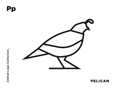 Q for Quail animal design icon identity illustration line art logo logomark minimal