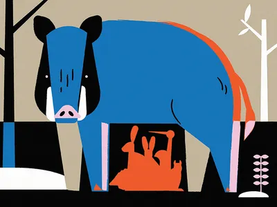 Javali animals boar character editorial fire forest illustration kids book print summer vector