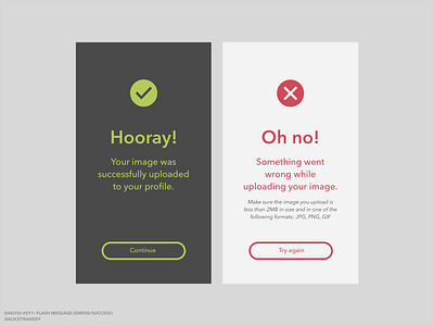 DailyUI 011: Flash message (Error/Success) dailyui 011 dailyui011 interface ui ui design ux