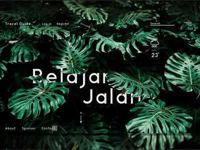 Ui Design Traveller Web branding design interaction design landing page ui ui ux ux web design webdesign