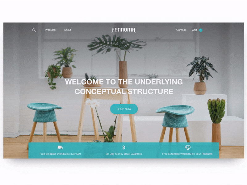 Fennoma Web Interaction design eccomerce motion ui ux web