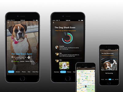 Pet Groomer design ui ux
