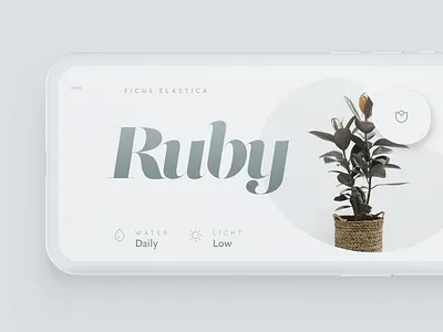 Flowers app flowers interface light minimal mobile simple touch type typography ui visual