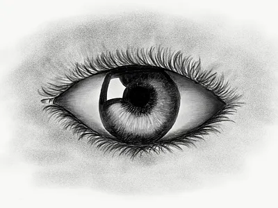 Clear Eye sketch adobe