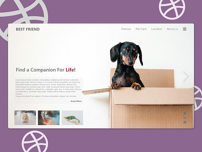 Best Friend design illustration inspiration pet pet care ui uiux uiux design ux web webdesing