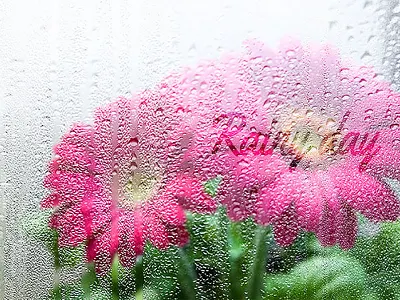 Foggy Rainy Window Photoshop Action action atn blur image liqify overlay photoshop rain