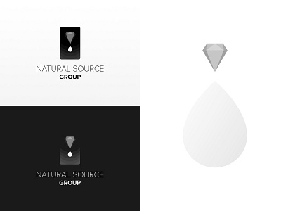 Natural Source Group Logo branding design illustration logo