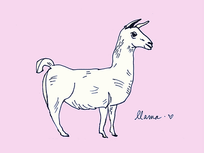 ‪ART EVERY DAY NUMBER 411 / ILLUSTRATION / LLAMA LOVE illustration llama