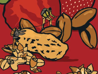 Granola athlete food granola illustration outdoors packaging pbj peanuts strawberry