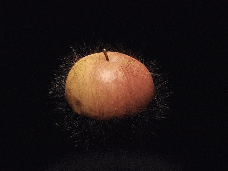 Hairy apple - Röyksopp tribute apple blender blender3d royksopp