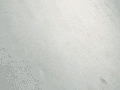 Oracle logo animation