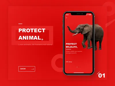 protect animal ui ux 品牌 设计
