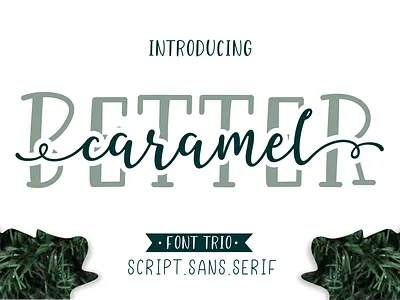 Better Caramel // Font Trio business casual classic design elegant exclusive fashion feminime font illustration logo minimalist natural script script font signature stylish typography vector