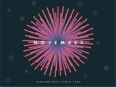 November firework fireworks illustration month november