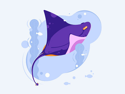 Stingray design graphic design illustration vector