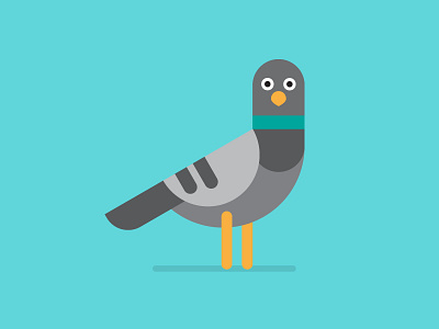 Pigeon animal detail flat flatvector illustration illustrator vector