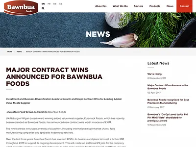 News Article Design food website news news article web design website