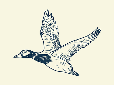 Duck Illustration duck illustration art line art